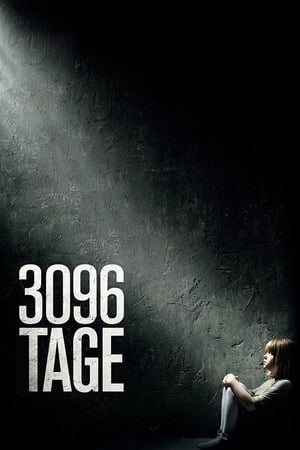 3096 días (2013)