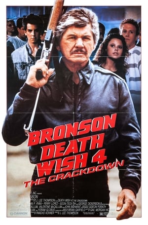 Death Wish IV (1987)