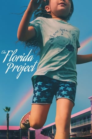 El proyecto de Florida (2017)