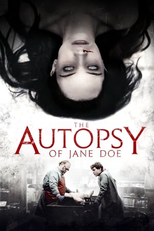 La autopsia de Jane Doe (2016)