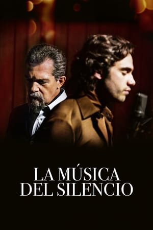 La musica del silenzio (2017)