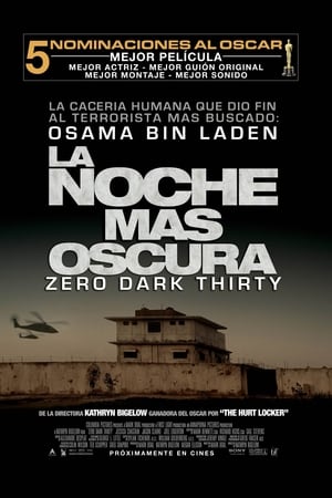 La noche más oscura (2012)