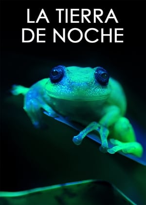 La Tierra de Noche (2020)