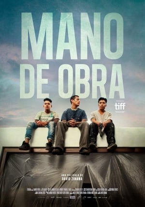 Mano de obra