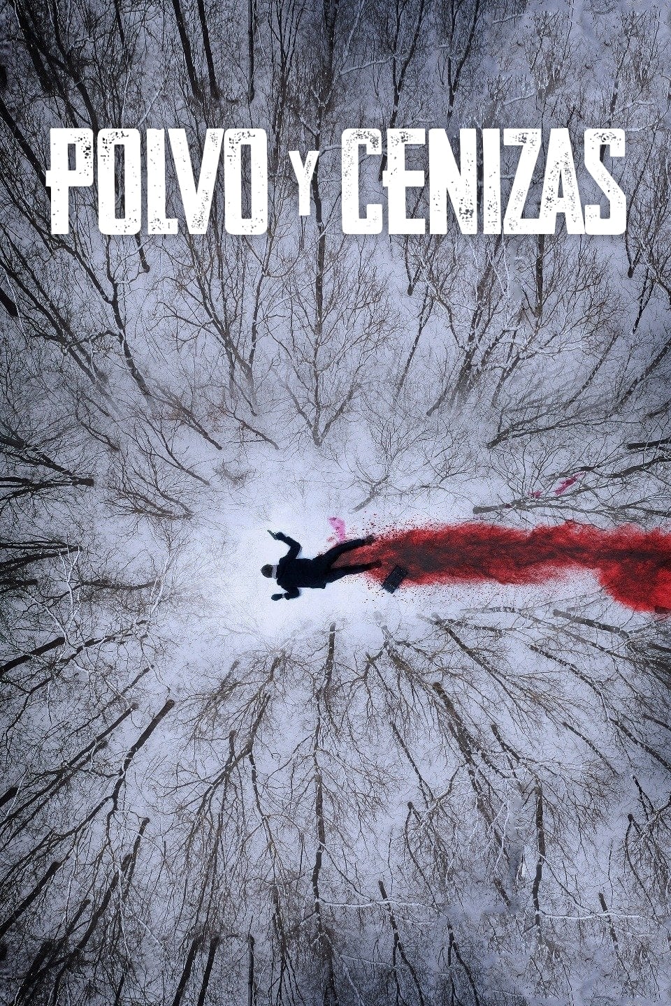 Polvo y cenizas