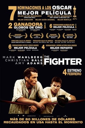 The Fighter (2010)