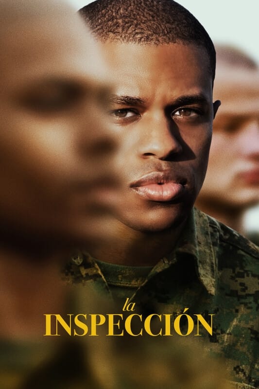 The Inspection