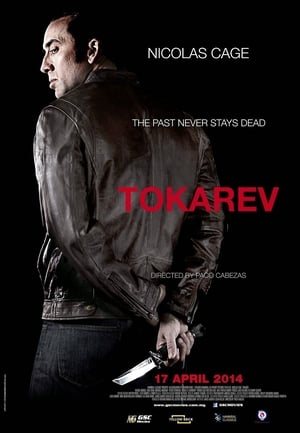 Tokarev (2014)