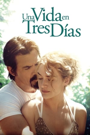 Una vida en tres días (2013)